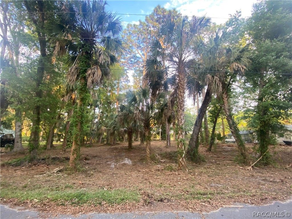 3403 N Olive Avenue, Crystal River, FL 34428