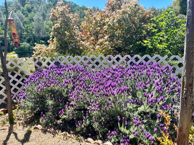 7282 Marin Street, Nice, CA 95464