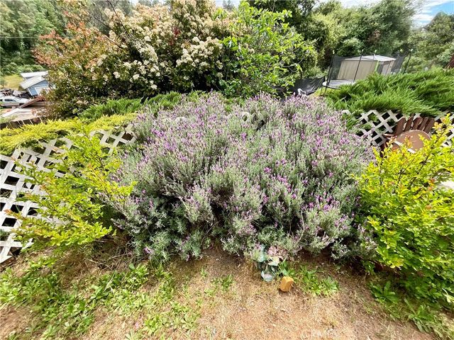 7282 Marin Street, Nice, CA 95464