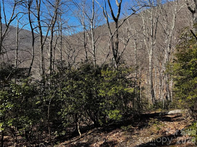 TBD Acacia Court 936, Black Mountain, NC 28711