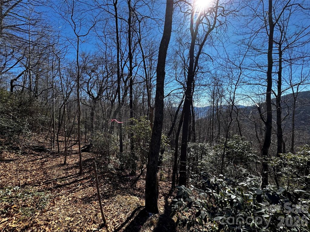 TBD Acacia Court 936, Black Mountain, NC 28711