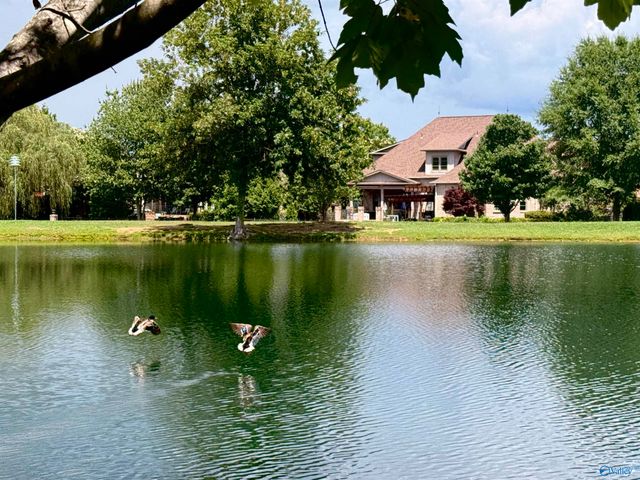 3015 Cobble Farms Drive, Owens Cross Roads, AL 35763
