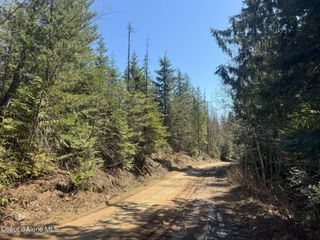 NNA Upper Manley Creek Rd 20 Acres, Laclede, ID 83841