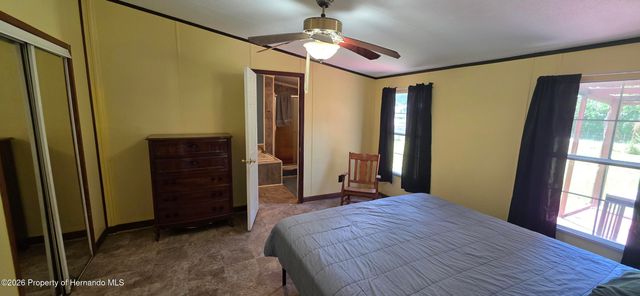 11736 County Road 675, Webster, FL 33597