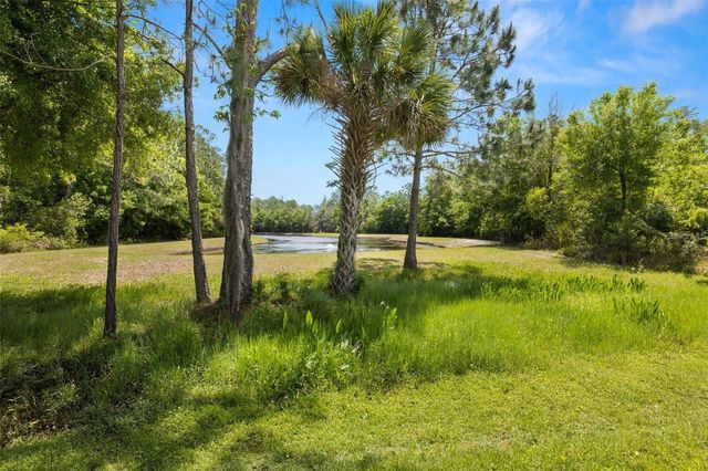 11034 WINDSOR PLACE CIRCLE, Tampa, FL 33626
