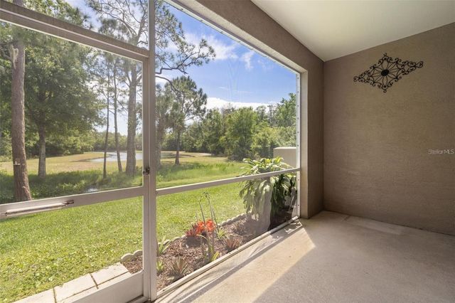 11034 WINDSOR PLACE CIRCLE, Tampa, FL 33626