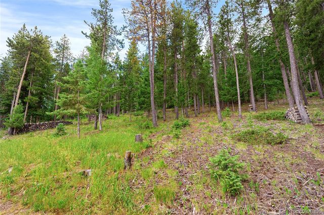6773 Snowshoe Trail, Evergreen, CO 80439