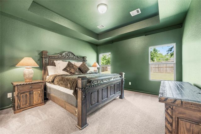 15319 Mountain Plover Place, Magnolia, TX 77354
