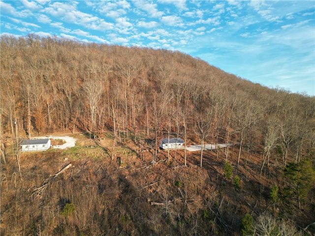 3103 NC 8401, Jasper, AR 72641