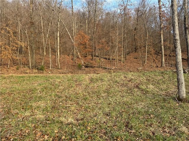 3103 NC 8401, Jasper, AR 72641