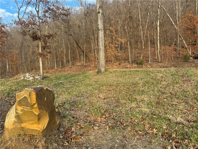 3103 NC 8401, Jasper, AR 72641