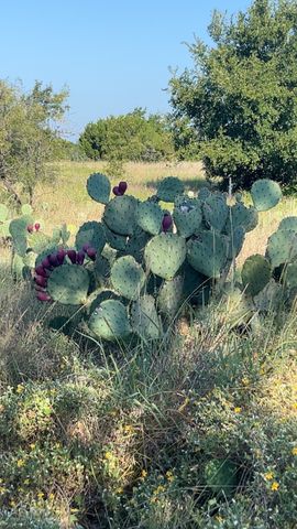 213 PR 1743B, Clifton, TX 76634