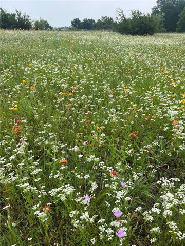 213 PR 1743B, Clifton, TX 76634