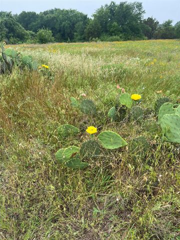 213 PR 1743B, Clifton, TX 76634