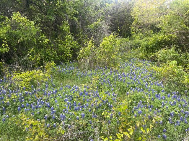 213 PR 1743B, Clifton, TX 76634