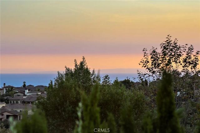 6 Canyon Peak, Newport Coast, CA 92657