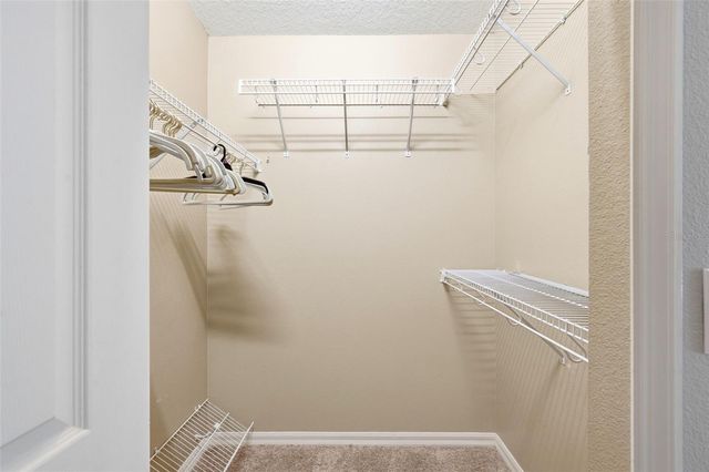 8102 KENDELWICK COURT, Tampa, FL 33647
