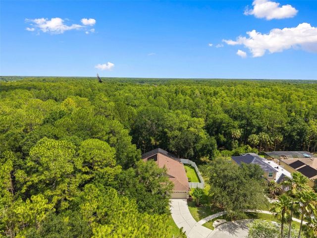 8102 KENDELWICK COURT, Tampa, FL 33647