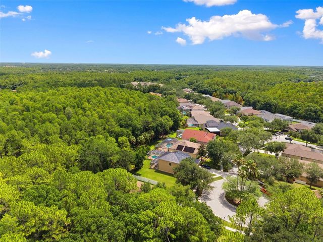 8102 KENDELWICK COURT, Tampa, FL 33647