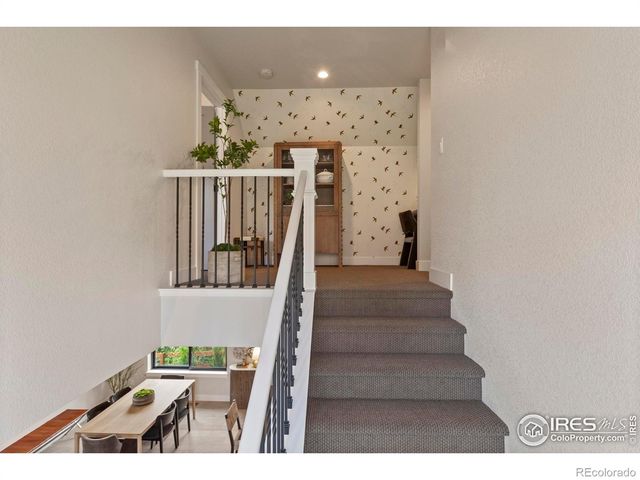 4306 Dixon Street, Timnath, CO 80547