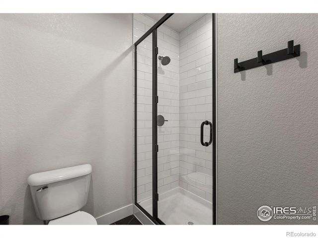 4306 Dixon Street, Timnath, CO 80547