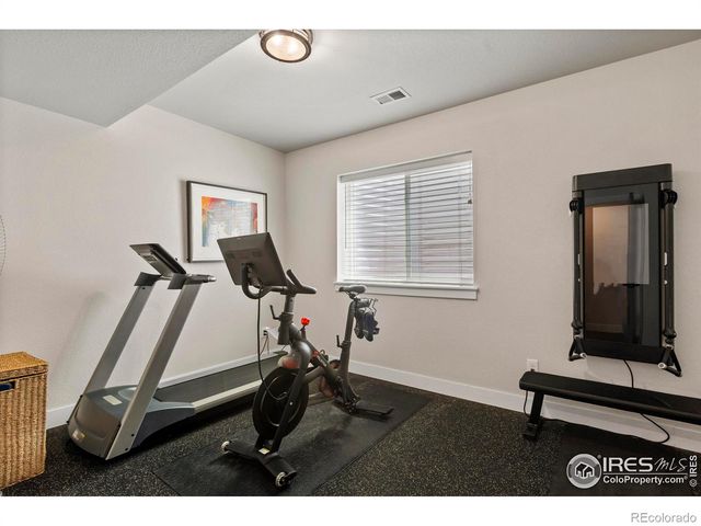 4306 Dixon Street, Timnath, CO 80547