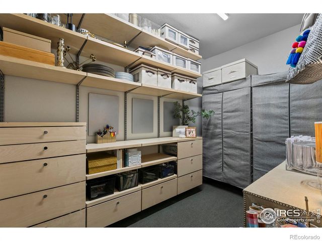 4306 Dixon Street, Timnath, CO 80547