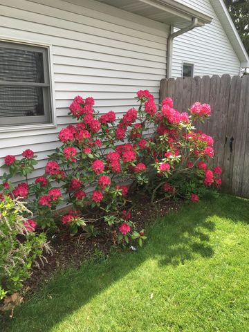 3177 Setting Sun Boulevard, Saginaw, MI 48603