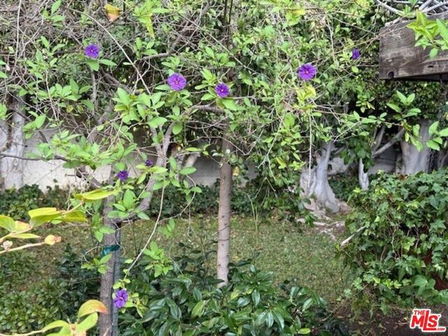 168 N Wetherly Drive, Beverly Hills, CA 90211