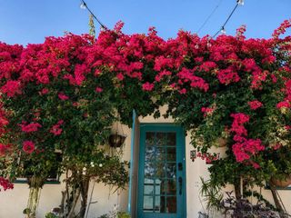 3827 Madison, San Diego, CA 92116
