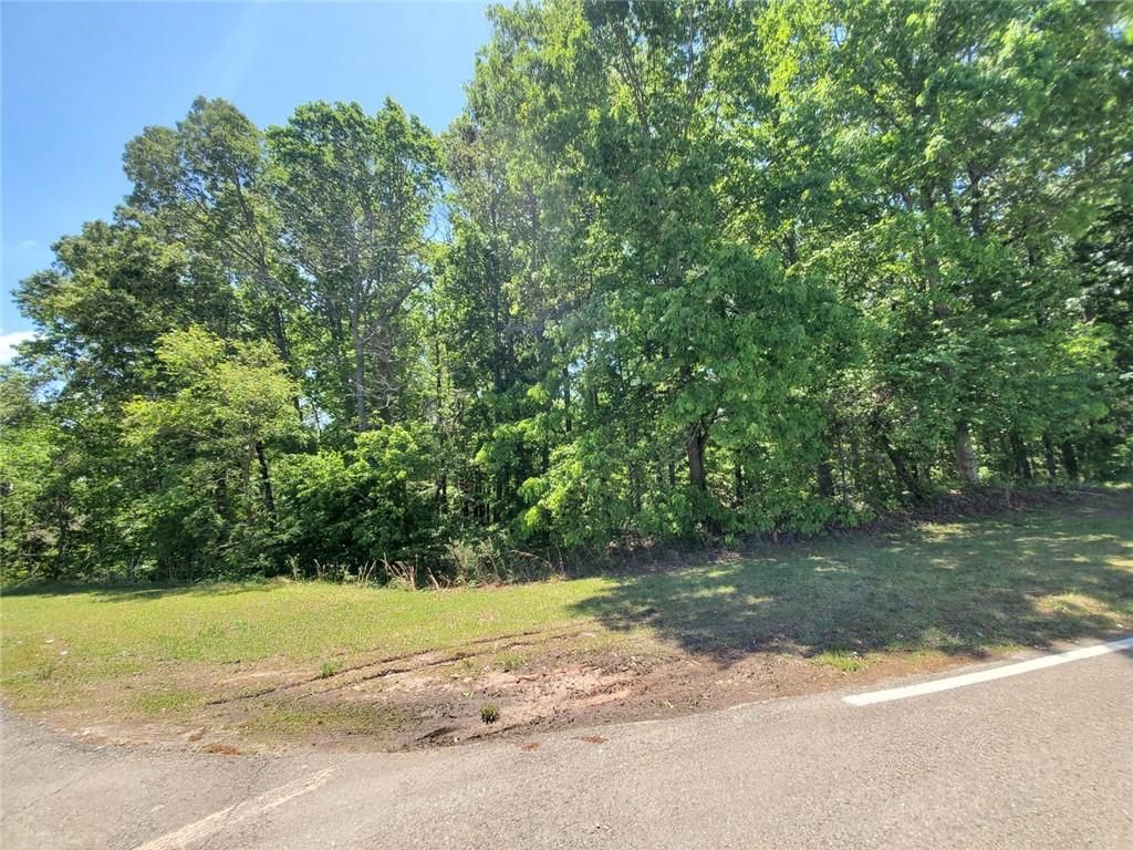 110 Hogan Pond Lane Lane, Ball Ground, GA 30107