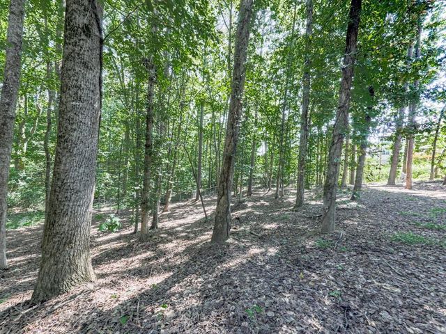 5855 Wills Lake Road, Cumming, GA 30040