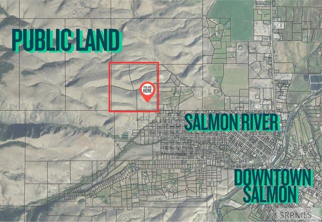 31 Old Leesburg Road, Salmon, ID 83467