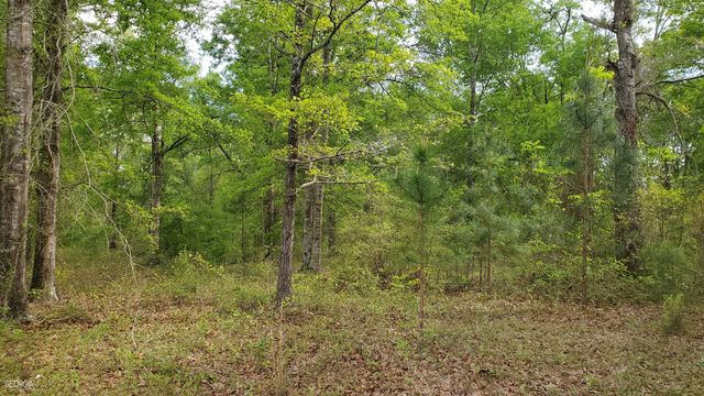 0 Meeks Road, Rentz, GA 31075