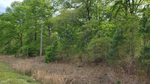 0 Meeks Road, Rentz, GA 31075