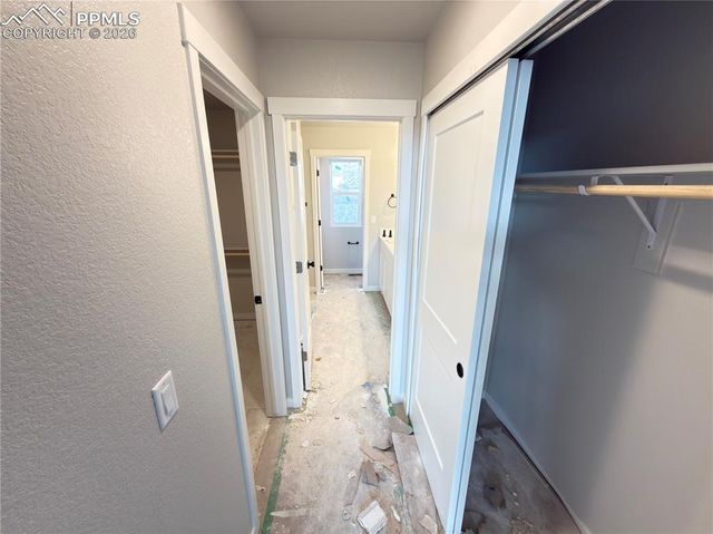 731 Little Bear Grove, Colorado Springs, CO 80907