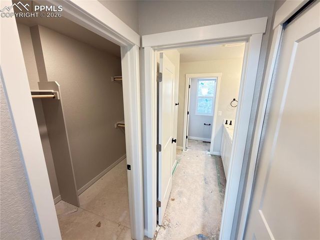 731 Little Bear Grove, Colorado Springs, CO 80907