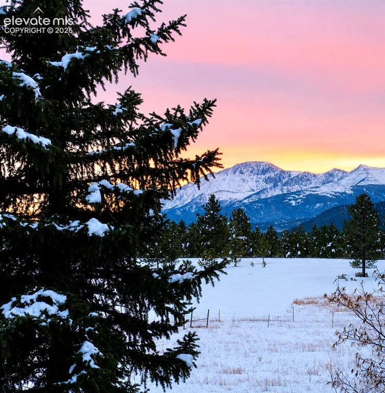 584 Sourdough Road, Woodland Park, CO 80863 — photo 2
