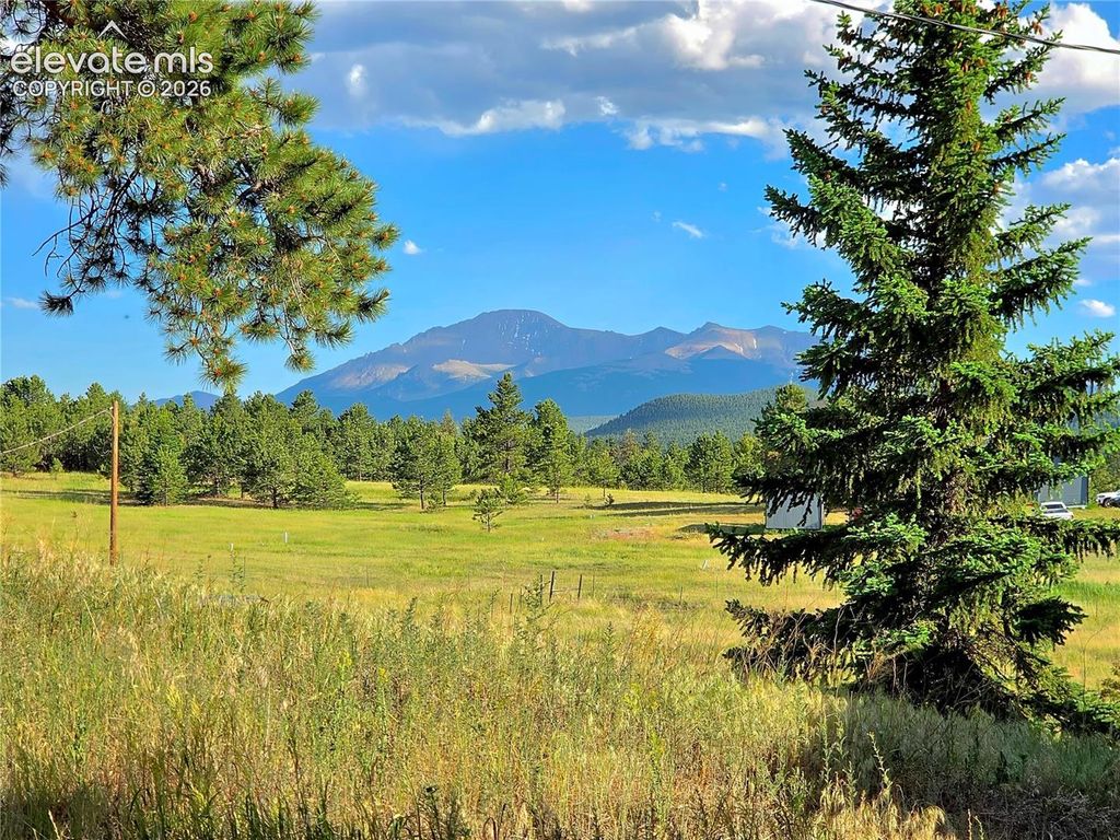 584 Sourdough Road, Woodland Park, CO 80863 — photo 4