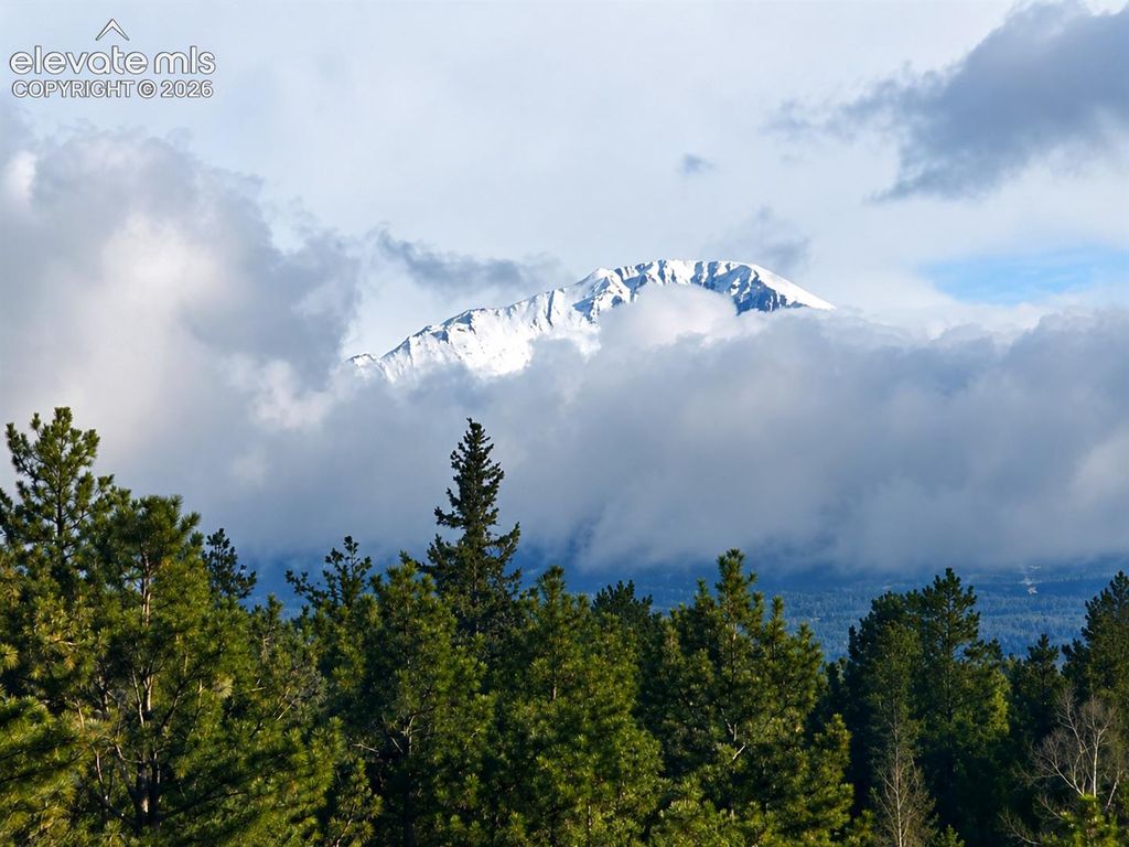584 Sourdough Road, Woodland Park, CO 80863 — photo 5