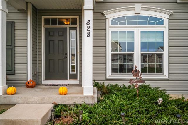 828 Mario Lane, Gilberts, IL 60136