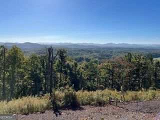 0 Piney Road, Mineral Bluff, GA 30559
