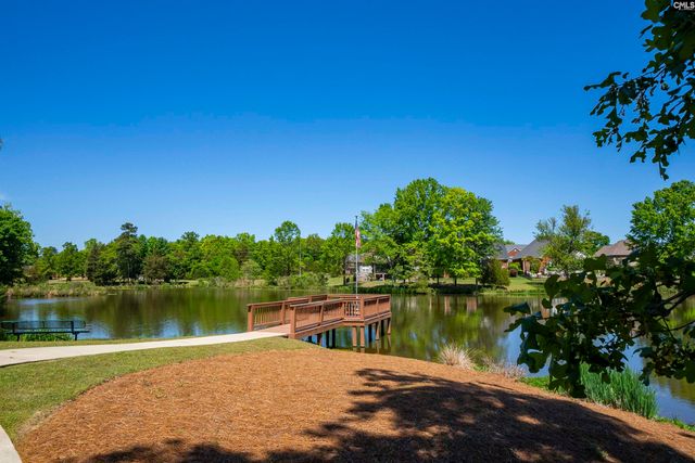 104 Lake Hilton Drive, Chapin, SC 29036