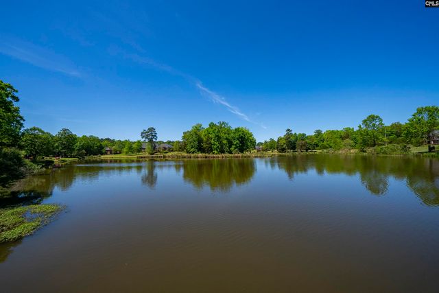 104 Lake Hilton Drive, Chapin, SC 29036