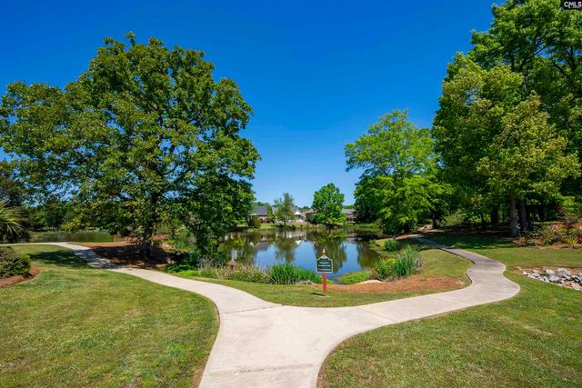 104 Lake Hilton Drive, Chapin, SC 29036