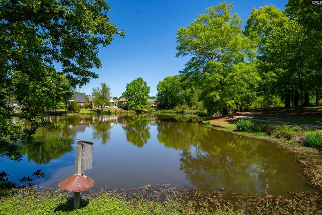 104 Lake Hilton Drive, Chapin, SC 29036