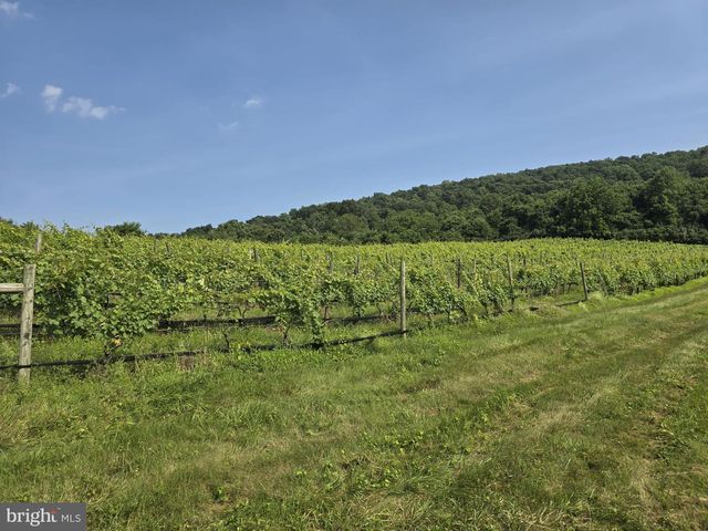 RED BARN LN, Linden, VA 22642