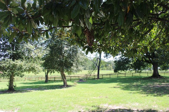 675 Old Mill Road, Campobello, SC 29322