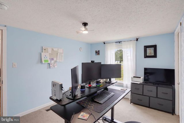 4369 CARPENTER BRIDGE RD, Felton, DE 19943