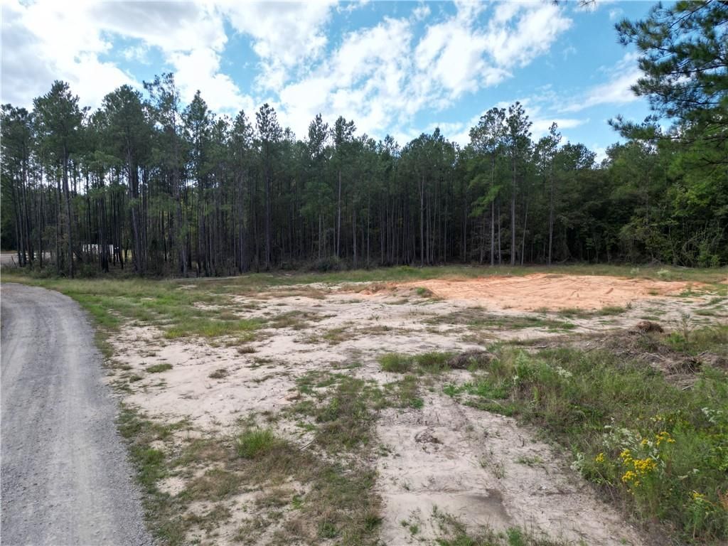 0 Salco Road E, Axis, AL 36505 — photo 2